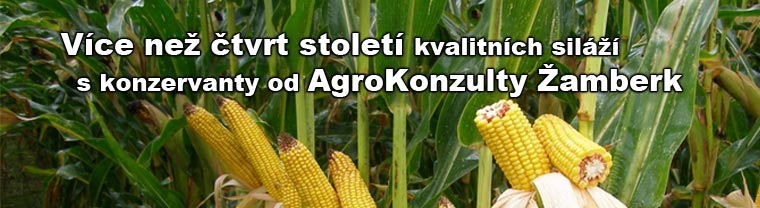 Tradice a zkušenost 25 let